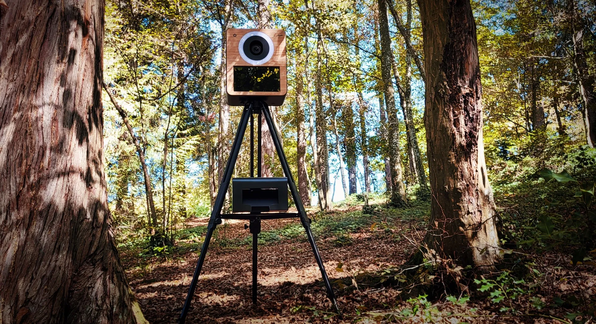 Location de photobooth en bois Maison Eve & Instants installé en forêt pour un mariage champêtre